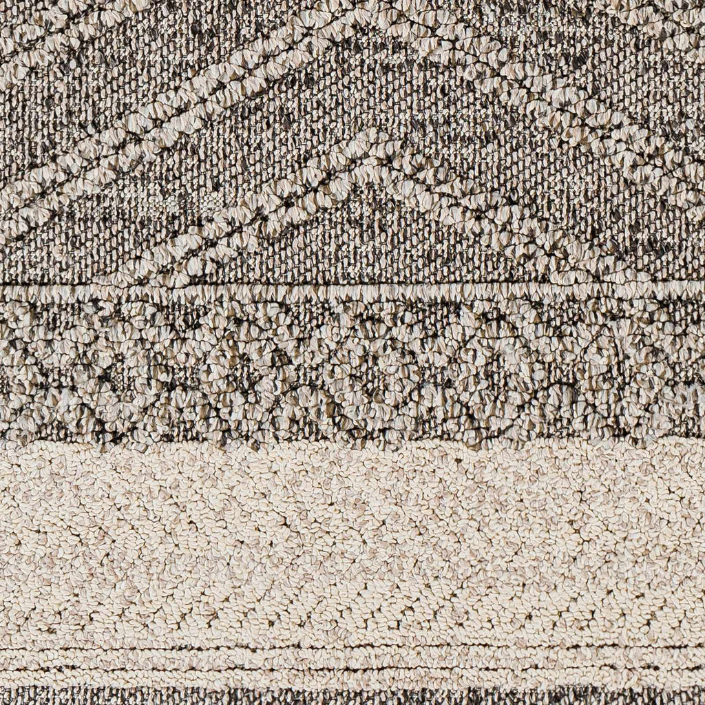 Areli Beige / Brown Outdoor Rug